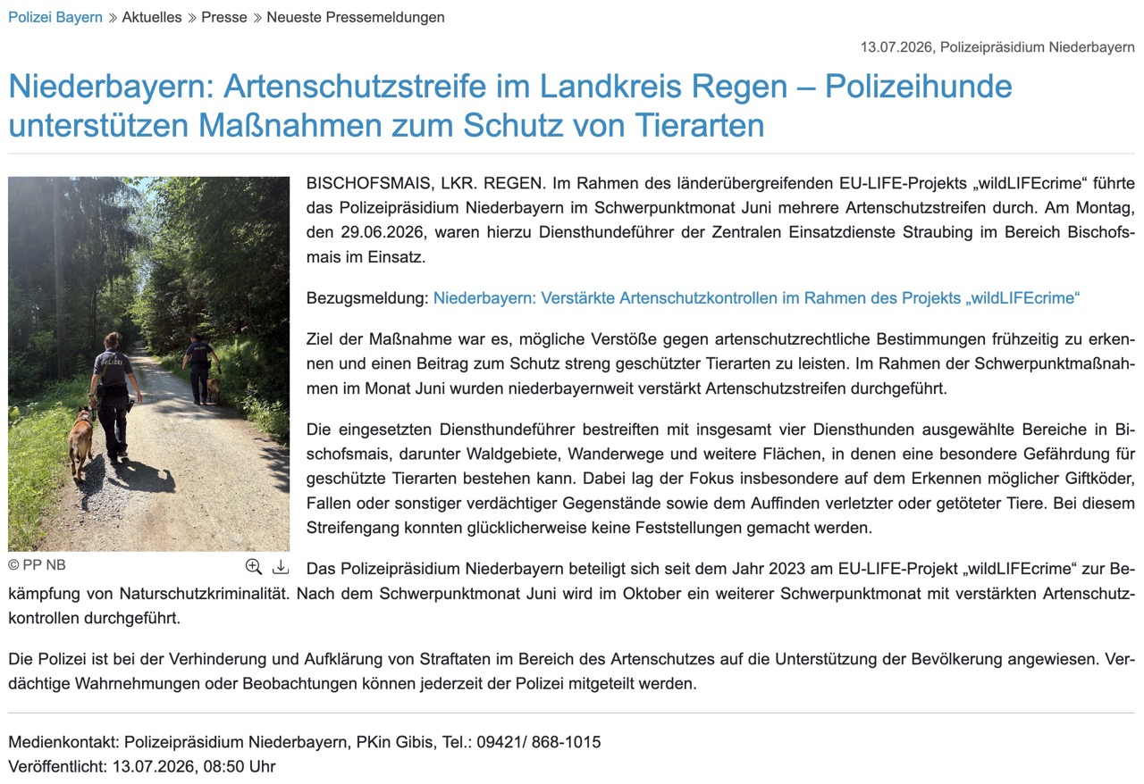 Artenschutzstreife_Groß.jpeg