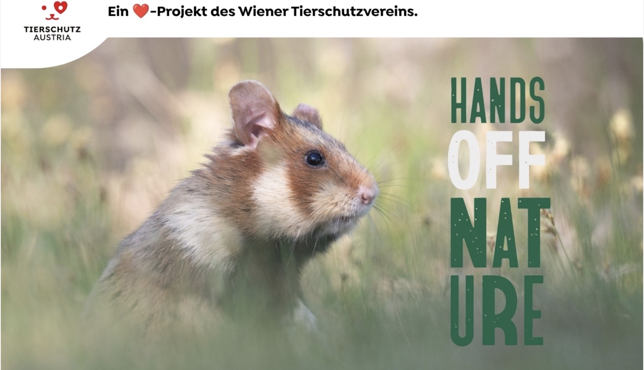 Hands_Off_Nature.jpeg