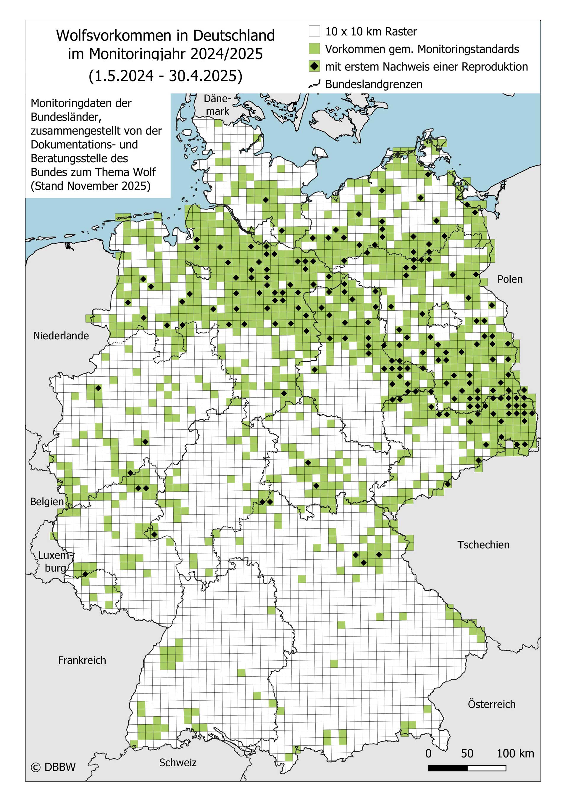 Wolf 2024 2025 Vorkommen